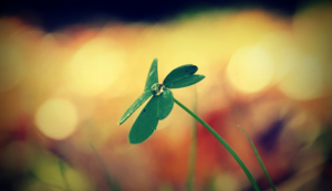 青瓷结局曾真台词,青瓷原著小说曾真结局