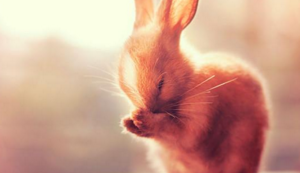 秘色瓷是什么窑烧制的,秘色瓷是一种特殊的瓷器,这里的秘是一种神秘的颜色