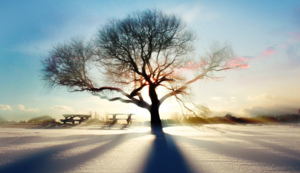 青瓷结局曾真台词,青瓷原著小说曾真结局