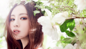 青白釉瓷器,青白釉瓷器香薰拍卖